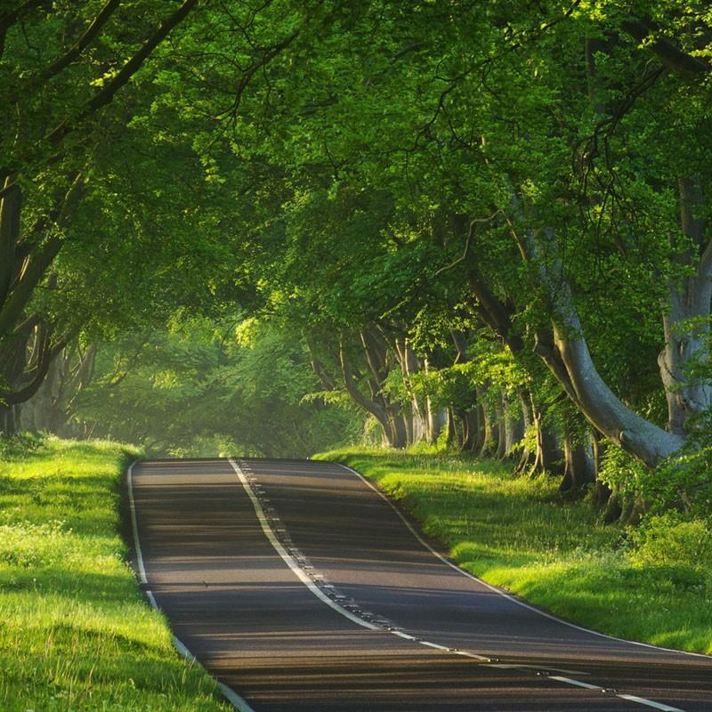 自然保護地勘界立標